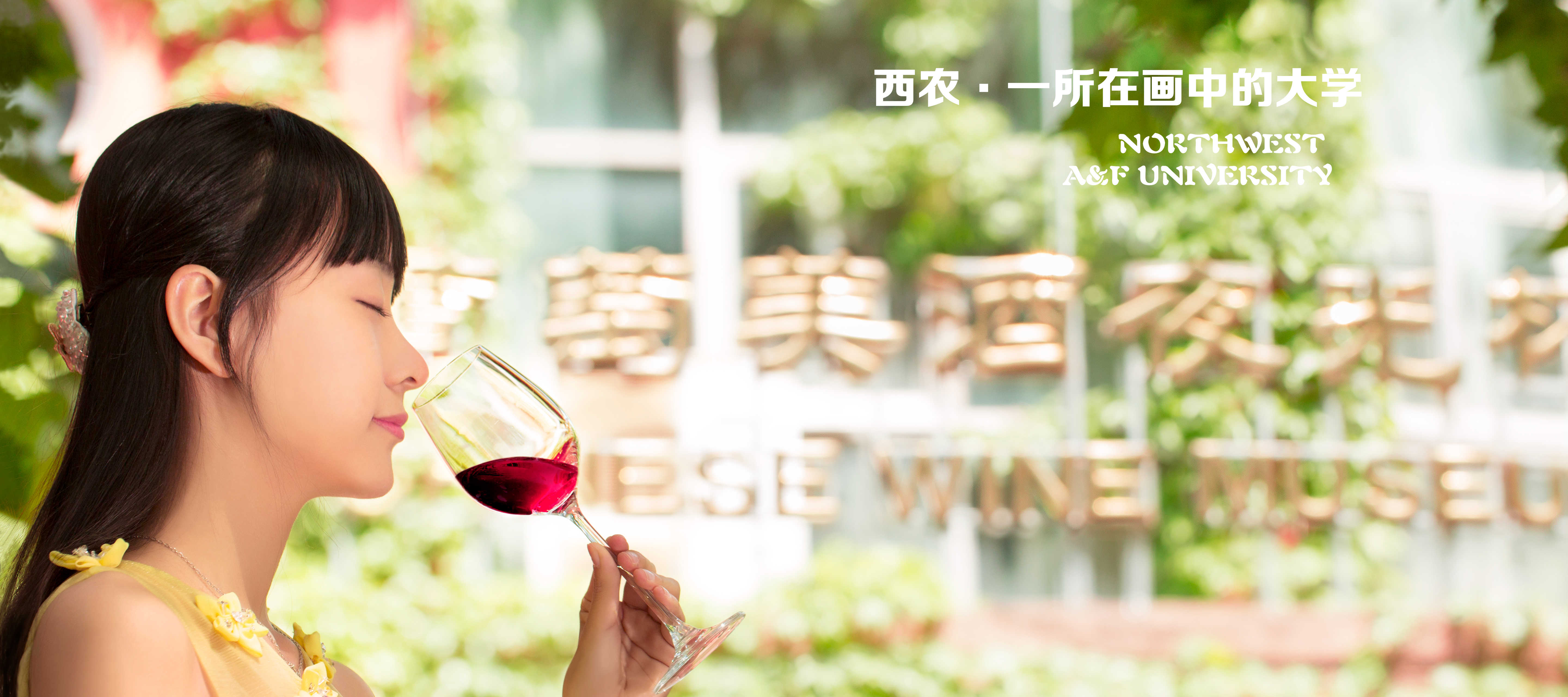 《葡萄与葡萄酒工程》专业介绍